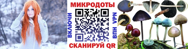 купить   Красавино  Псилоцибиновые грибы мухоморы 